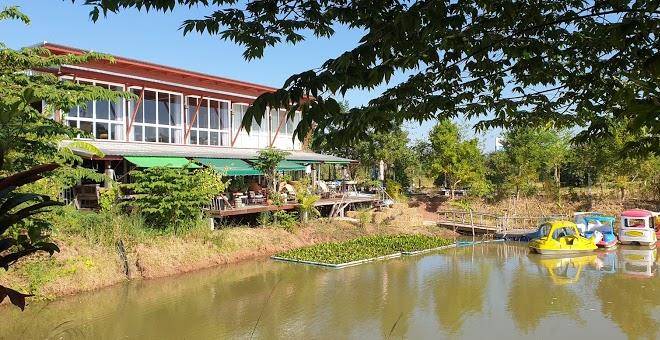 Coffeehomestay2