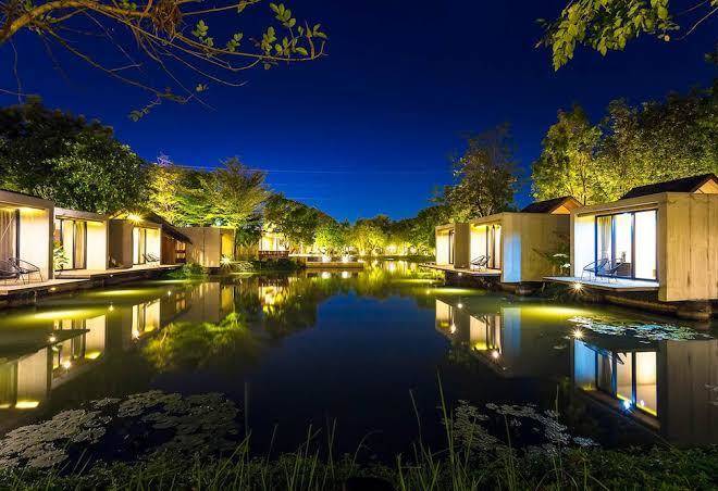 Into the forest resort