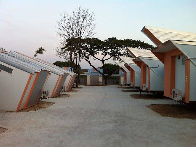 Penguin resort