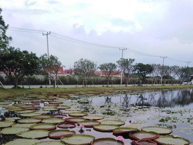 Patra hotel