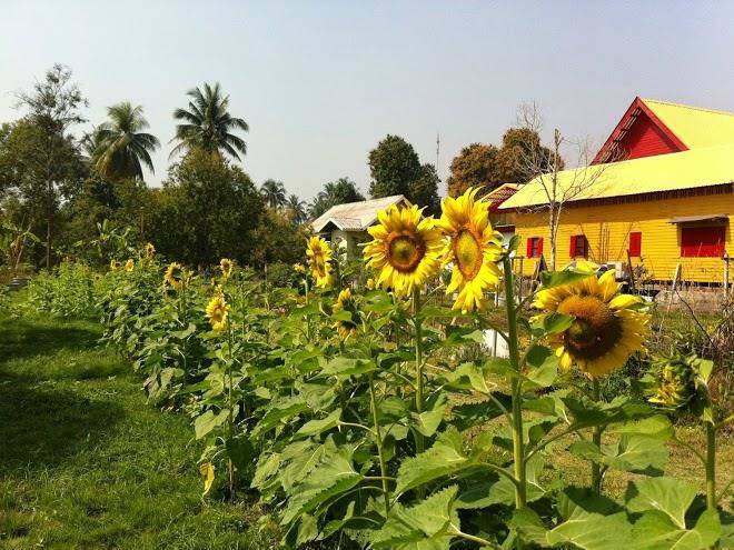 Baanbon homestay
