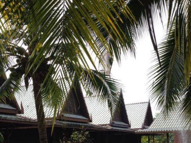 Baansuanzabua ampawa