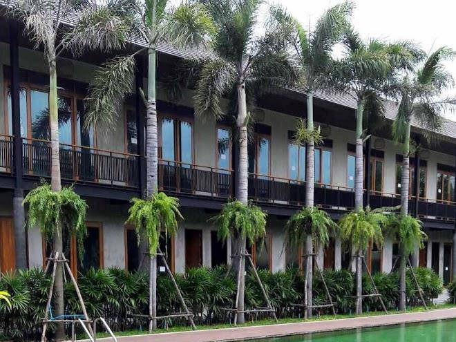The buffalo amphawa