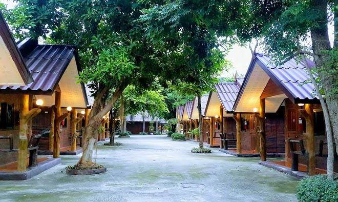 Palms resort