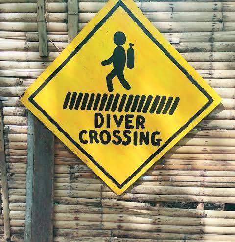 Adang sea divers & eco lodge