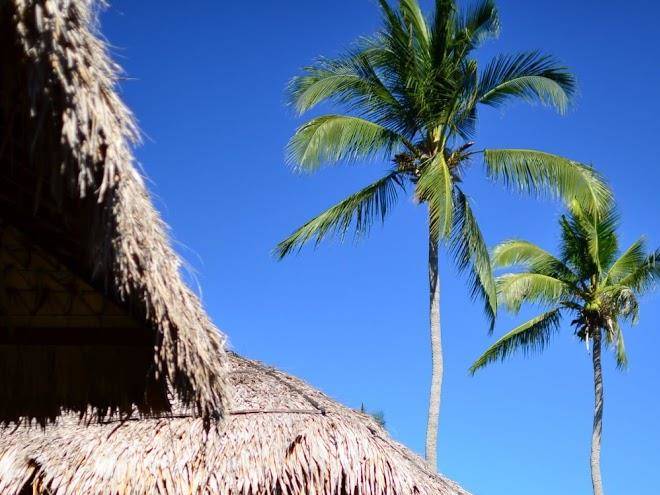 Satun dive resort