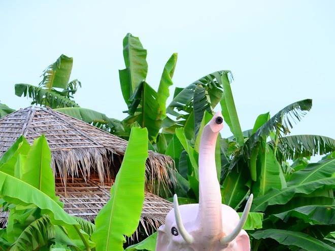 Dd boutique resort