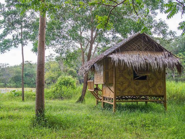Wichai's jungle homestay