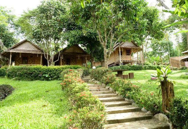 Bamboo jungle resort