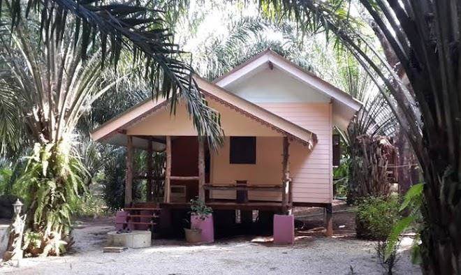 Dion forest resort