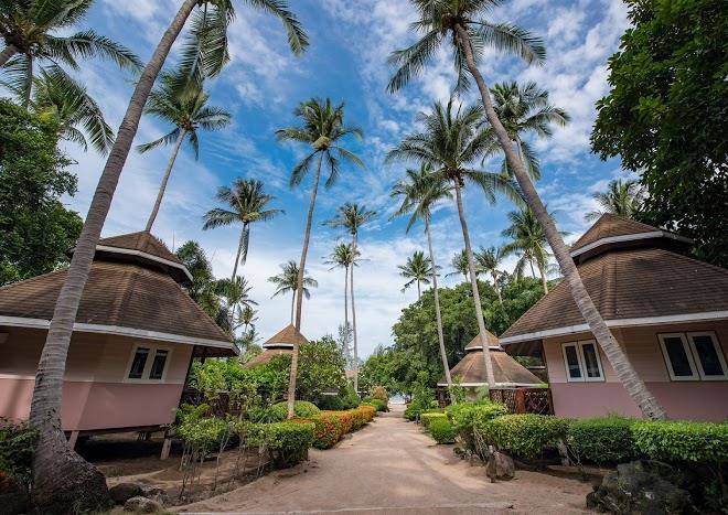 Coral grand resort koh tao dive resort