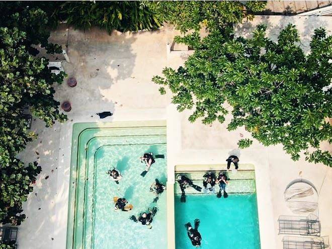 Simple Life Divers Koh Tao Image