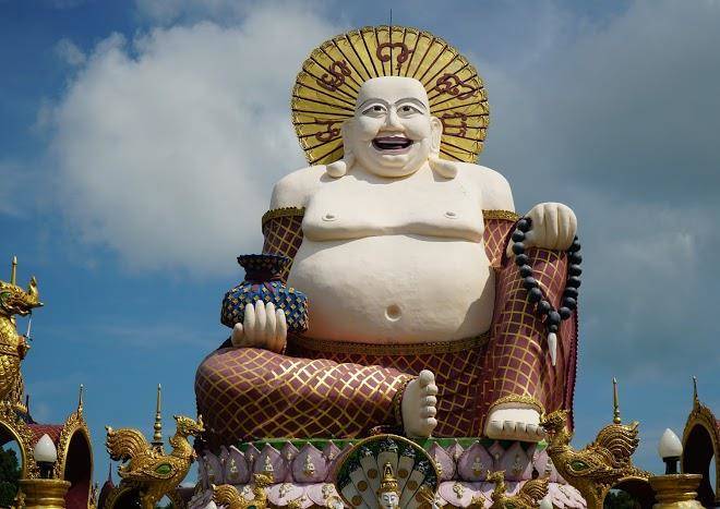 Cheeky monkey's samui hotel