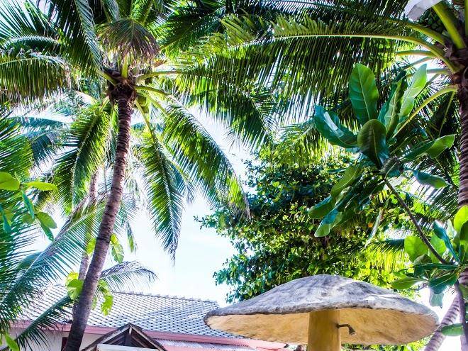 Sans souci samui