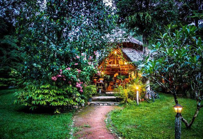 Baan khao sok resort