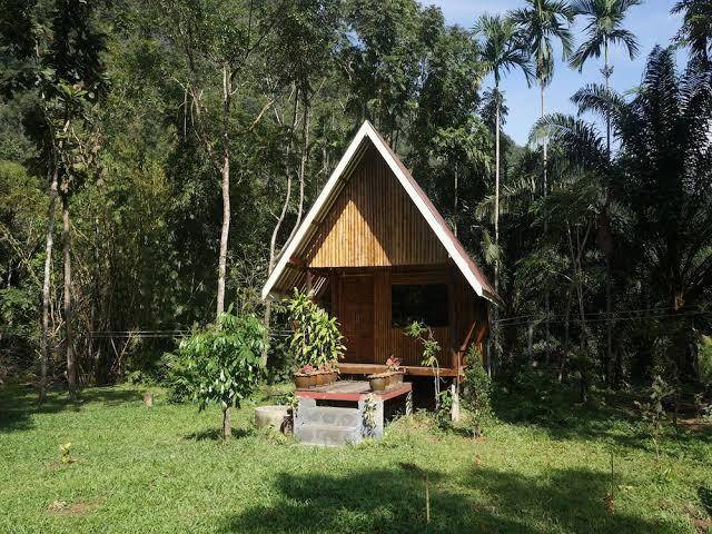 Khao sok jungle huts