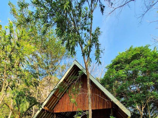 Khao sok jungle resort