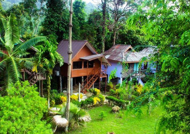 Tree tops river huts