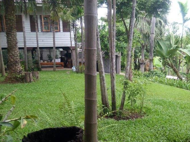 Magmai riverside tak