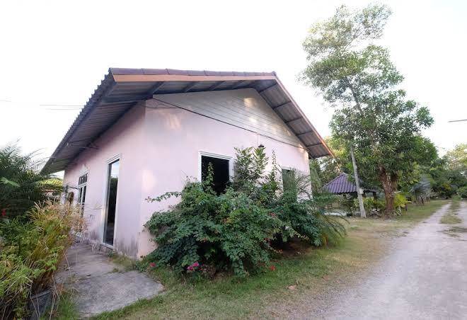 Petch anda resort