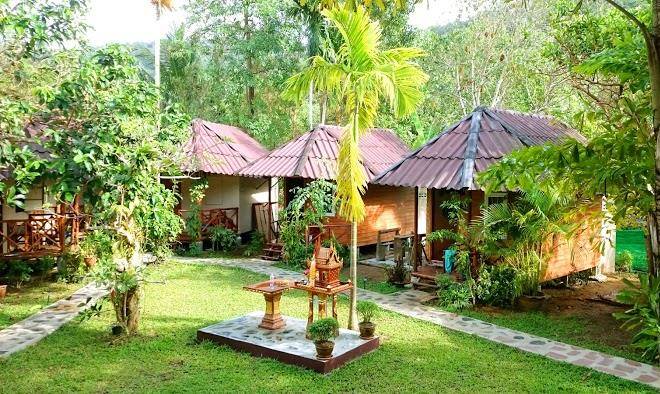 Jungle view