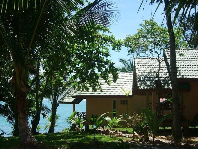 Paradise palms resort