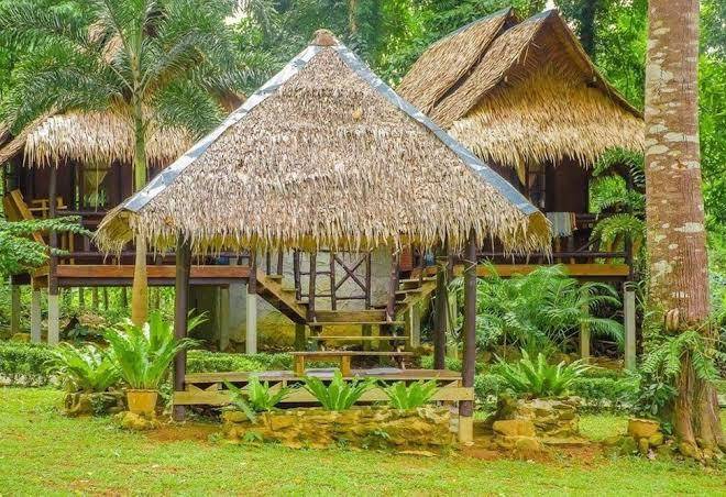Tarzan island resort
