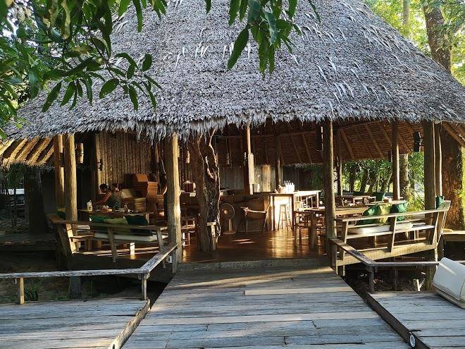The mangrove