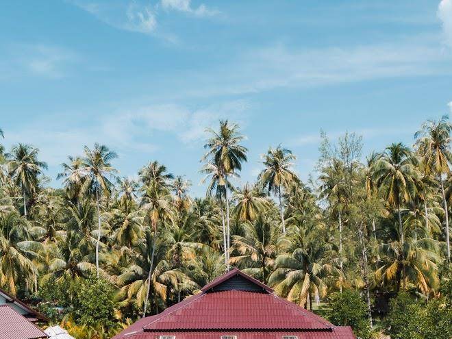 A la koh kood