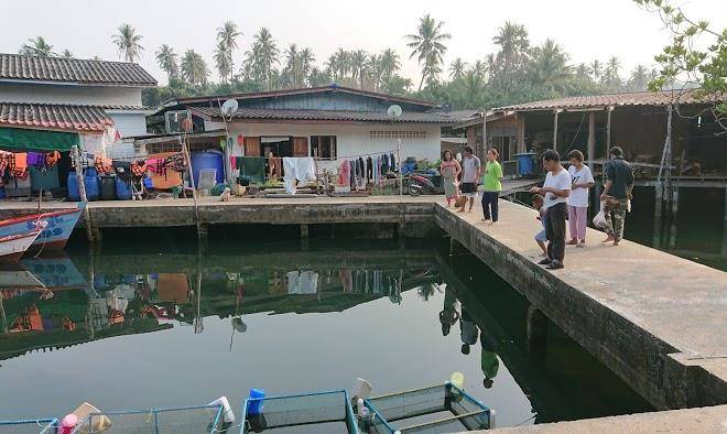 Khlong mad good view koh kood