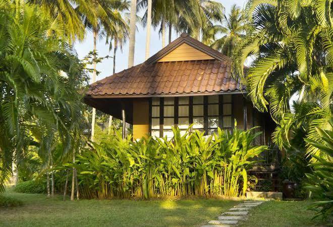Shantaa koh kood
