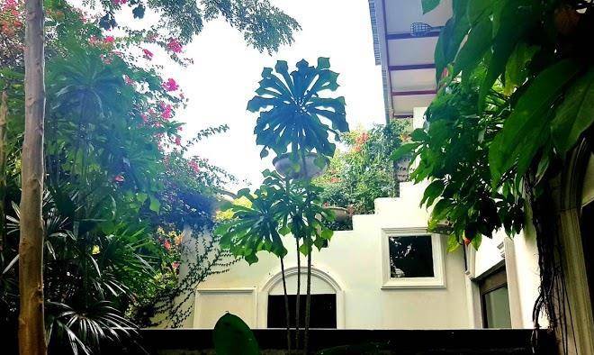 Harmony resort