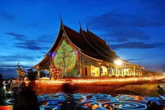 Kiwi resort