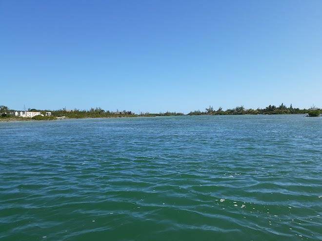 Andros Island Bonefish Club Image