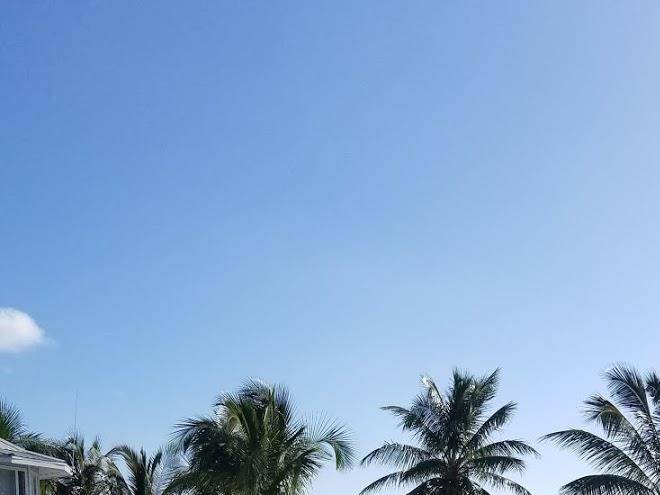 Flamingo Club Resort Image