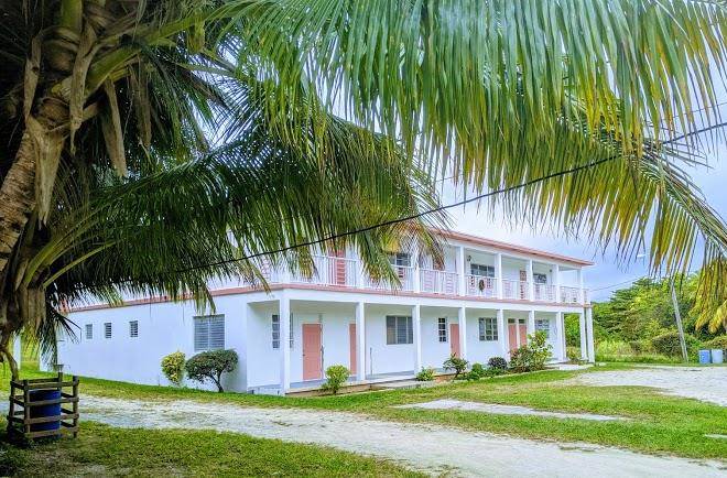 Palmetto Breezes Image