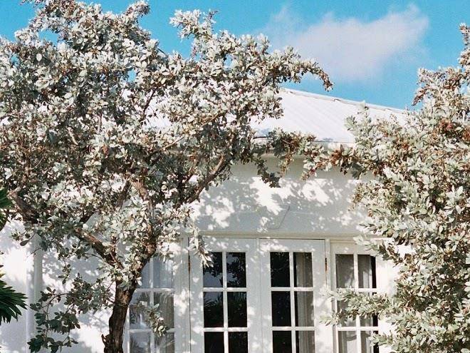 The Ocean View Club Image