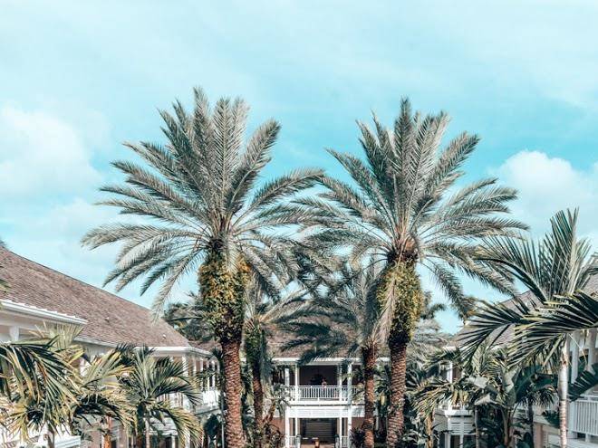 The Ocean Club A Four Seasons Resort Bahamas Image