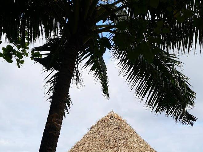 The tongan beach resort
