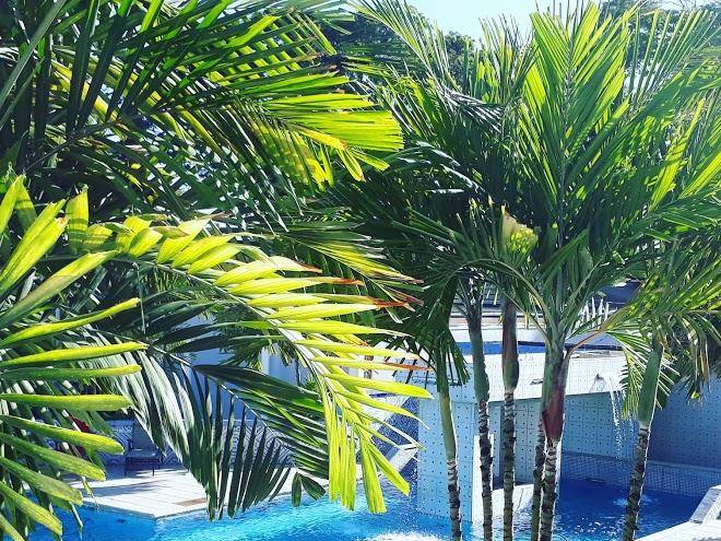 Green palm boutique hotel