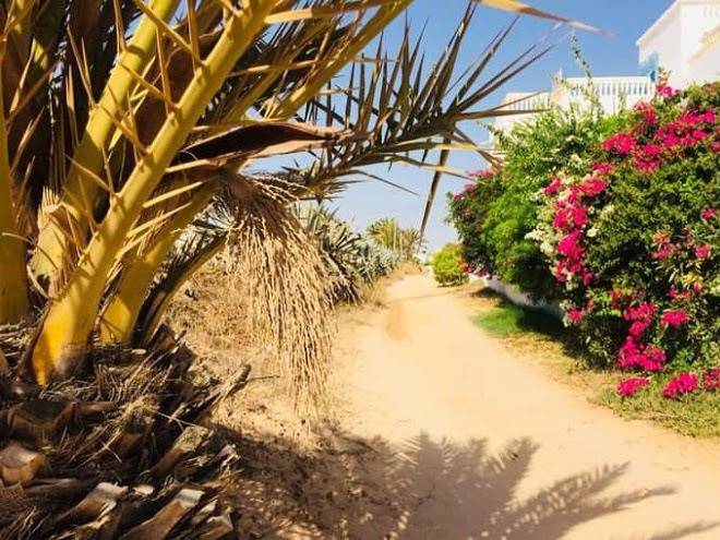 Dar lagune djerba