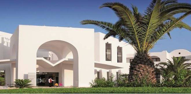 Sentido palm azur