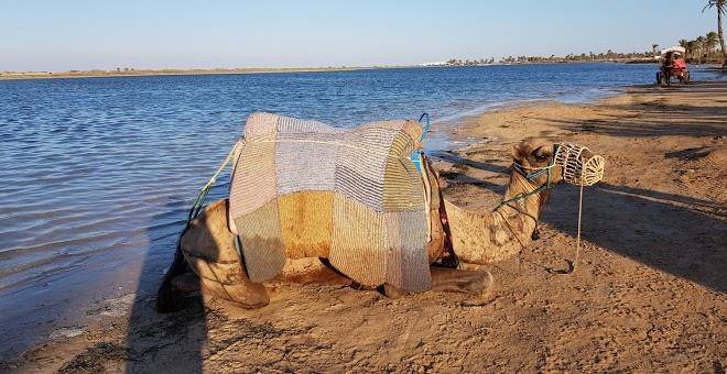 Ranch tanit djerba