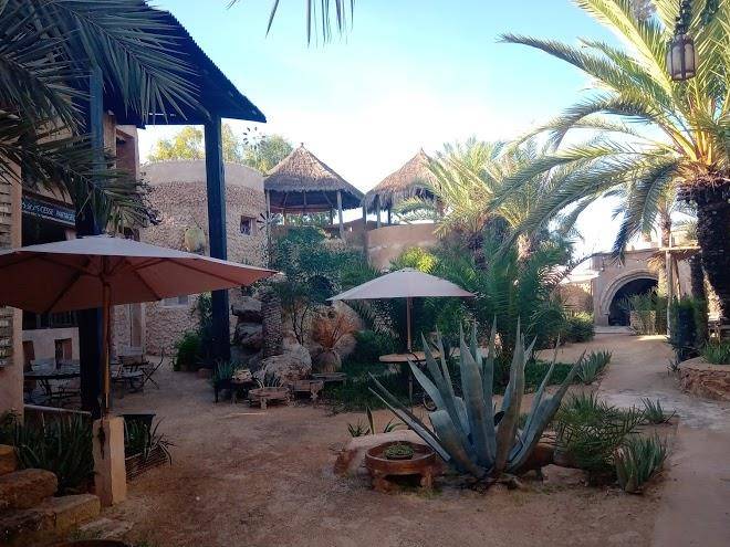 Terre d'oasis