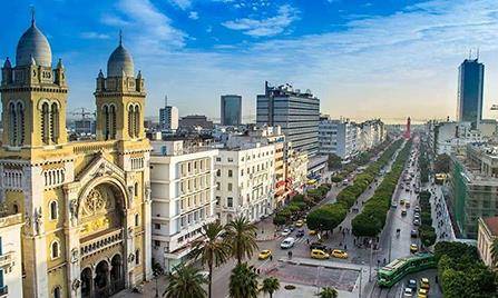 Hotel tunisia palace