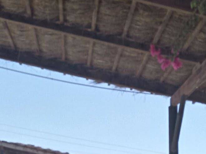 Hotel bab el kantara