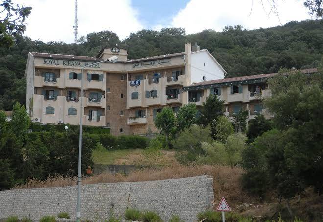 Hotel royal rihana