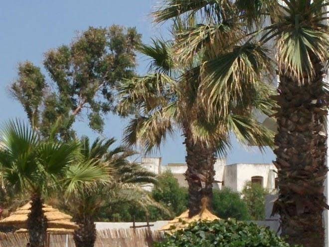 Palmyra hotel and aqua resort