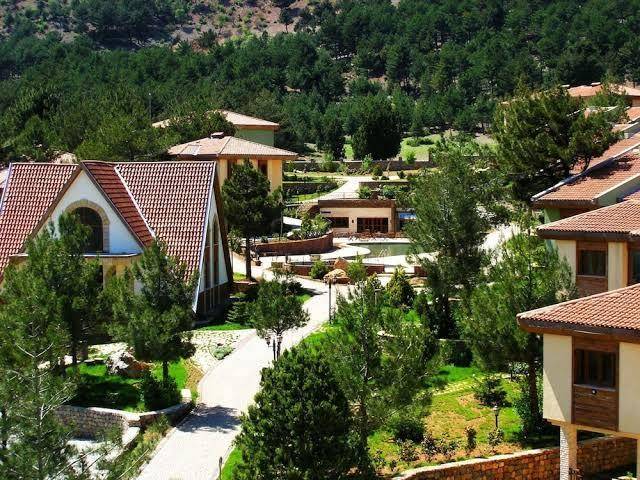 Pendosis tatil koyu