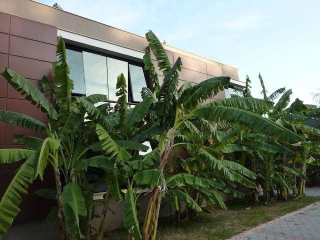 Cetinel hotel